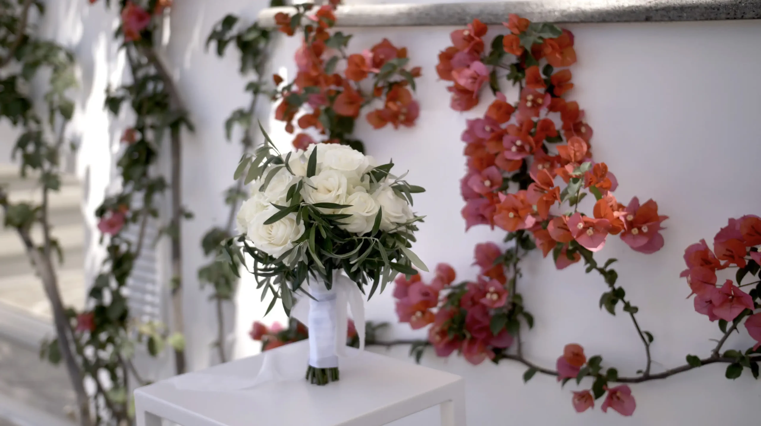 Schermata 2024 11 04 Alle 17.46.48 Risultato